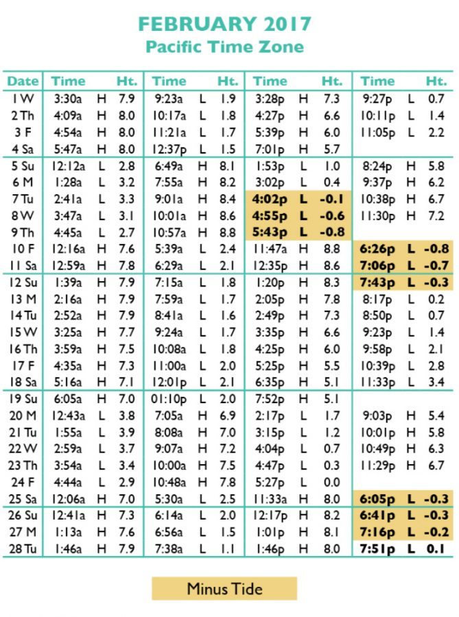 Tide Tables in Seaside, Oregon's favorite vacation destination