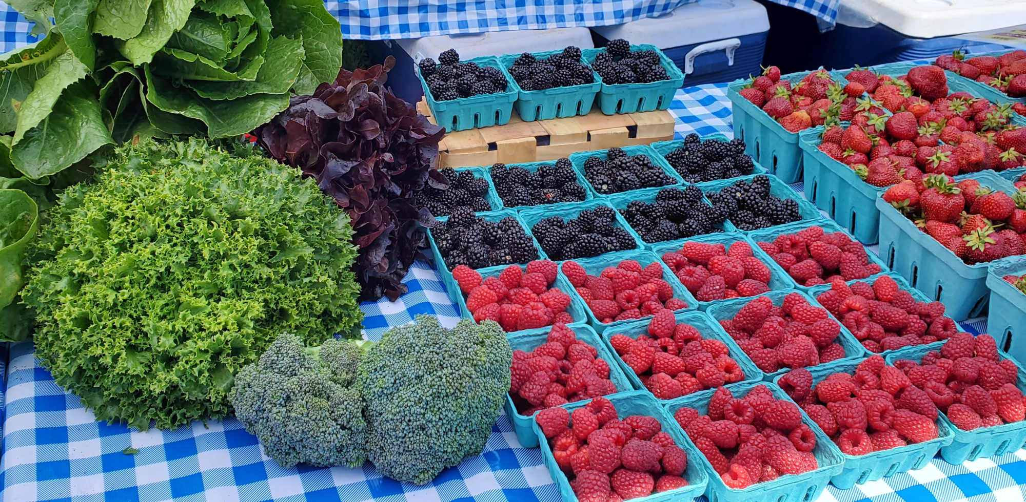 Farmers Market Means Summer on the Coast Seaside Oregon